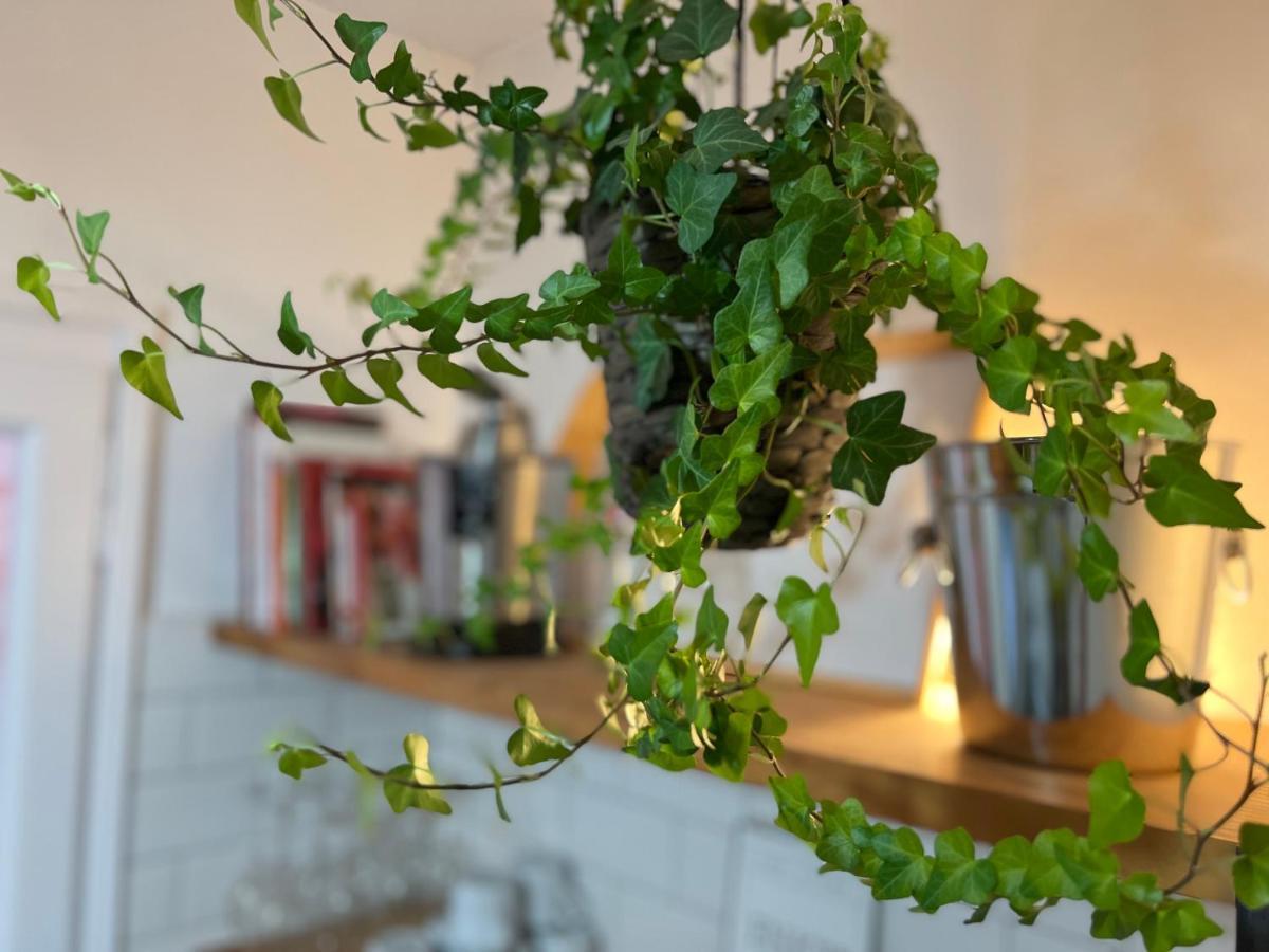 Charming Appartement In The Heart Of Барселона Экстерьер фото